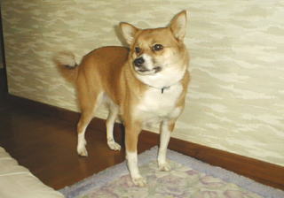 ����񂿂��