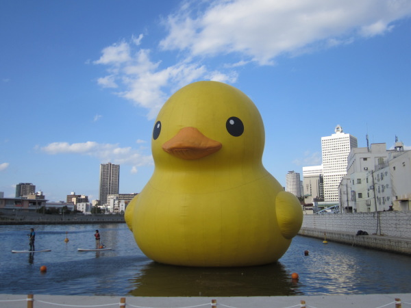 �A�q��������