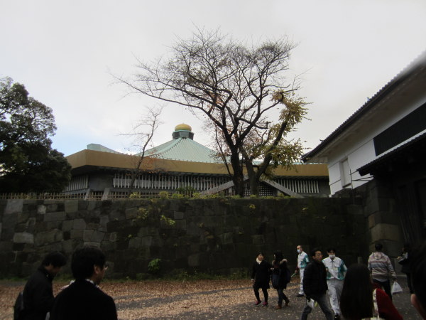 ���{������