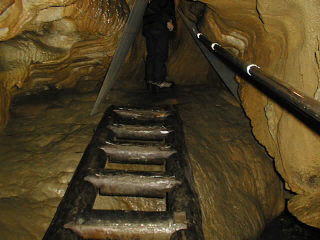 ���Ԃ��ܓ�