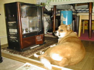 ��������������