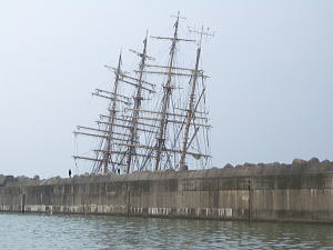 �x�R�`���ō��ʂ��Ă���C���ۂQ���B�ʐ^��10��22���̂���