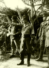 �������ɂ�