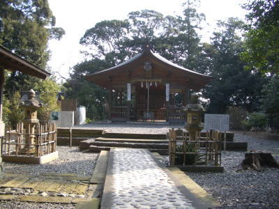 �����_��