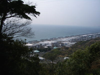 �v�\�R����ς��x�͘p