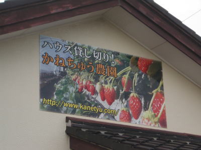 �O��̂���������