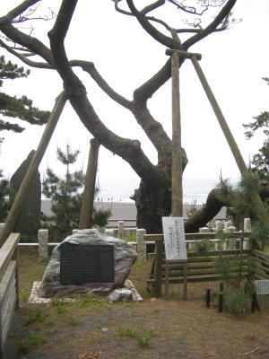 ���ƕ��ʂ̏��Ɍ�����c