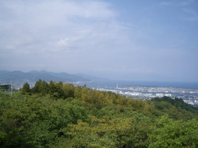 �܂����Ă��t�W�͌�����