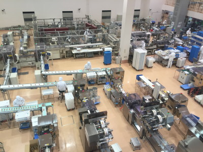 �H����̗l�q